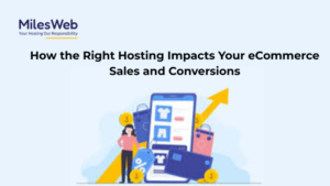 Read more about the article How The Right Hosting Impacts Your ECommerce Sales And Conversions
